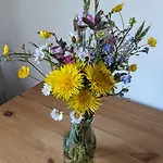 Wiesenbluemle شقة *