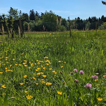 Apartamento Wiesenbluemle Schömberg
