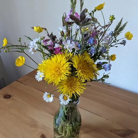 Wiesenbluemle Apartman *